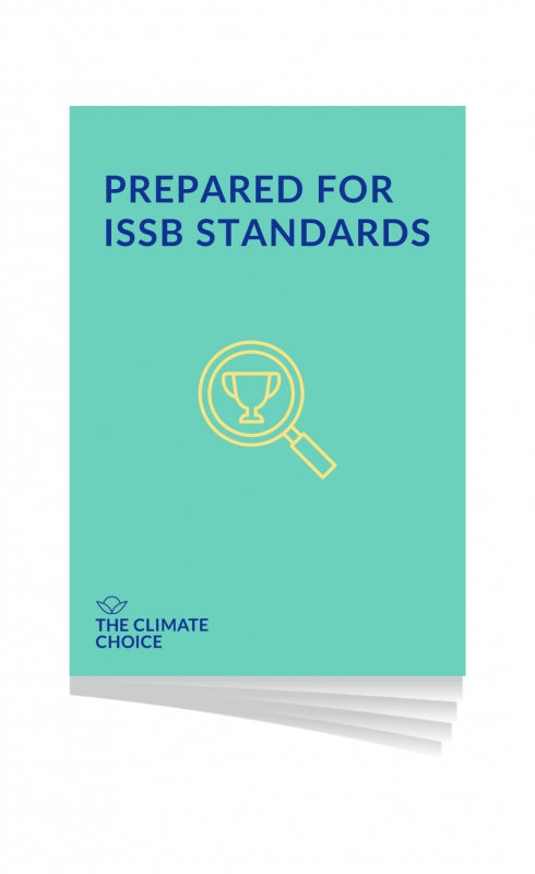 Whitepaper ISSB standards